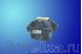SUNTEC T5A 10 7